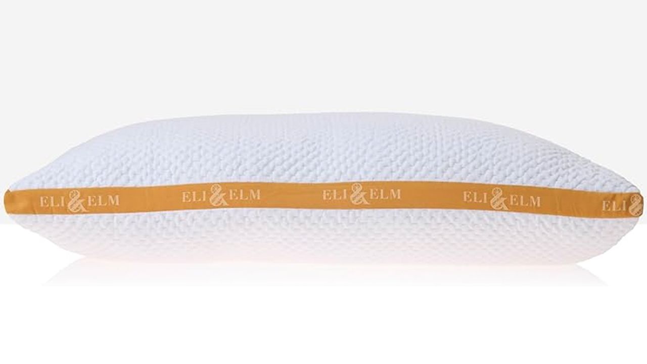 eli & elm everyday pillow.jpg