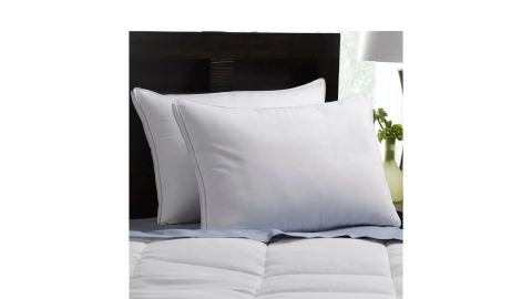 Ella Jayne Home Luxury Plush Allergy Resistant Pillow, Set of 2