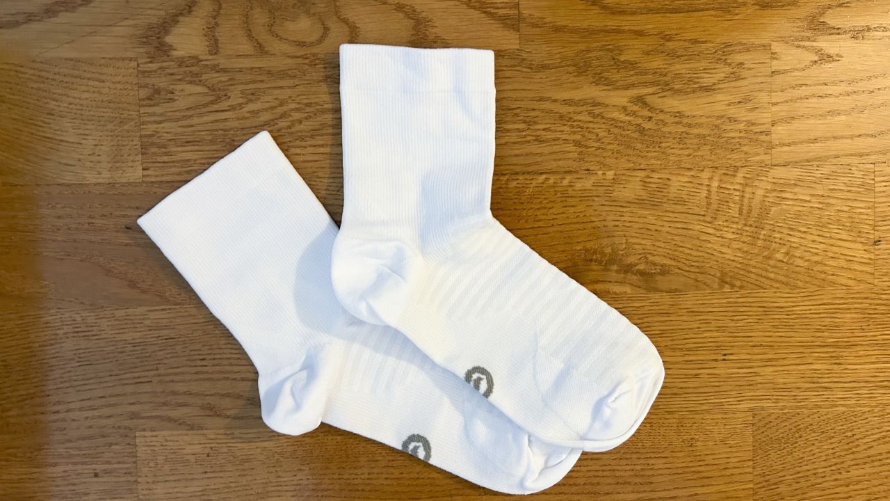 ellen paplas socks.jpg