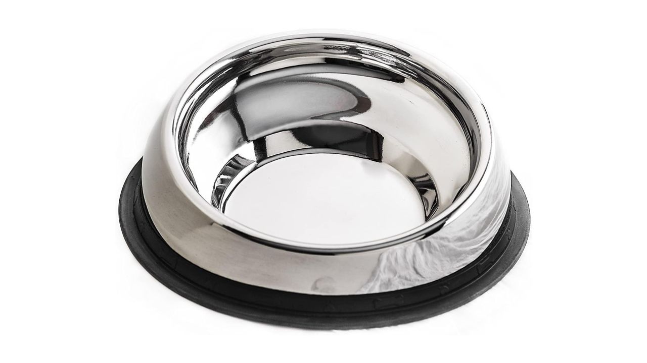 Enhanced Pet Products Slanted Dog Bowl product card cnnu.jpg