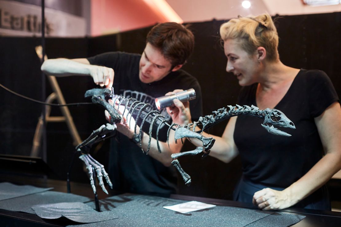 The skeleton will be displayed at the Natural History Museum in London.
