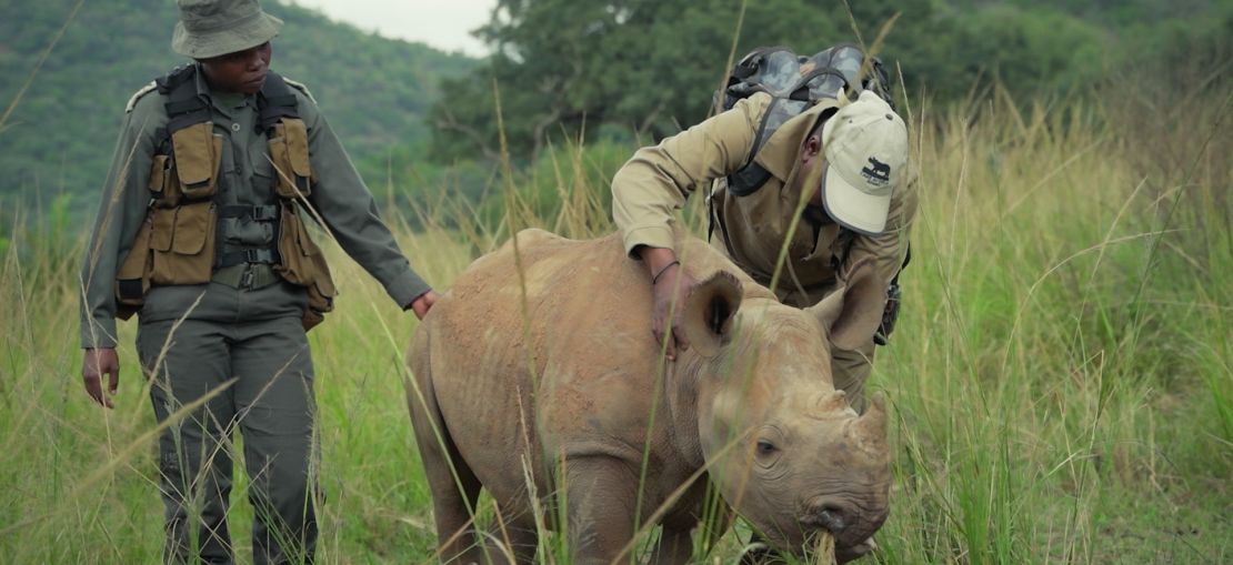 Rangers work around the clock to protect, rescue and rehabilitate critically endangered rhinos from daily poaching threats.