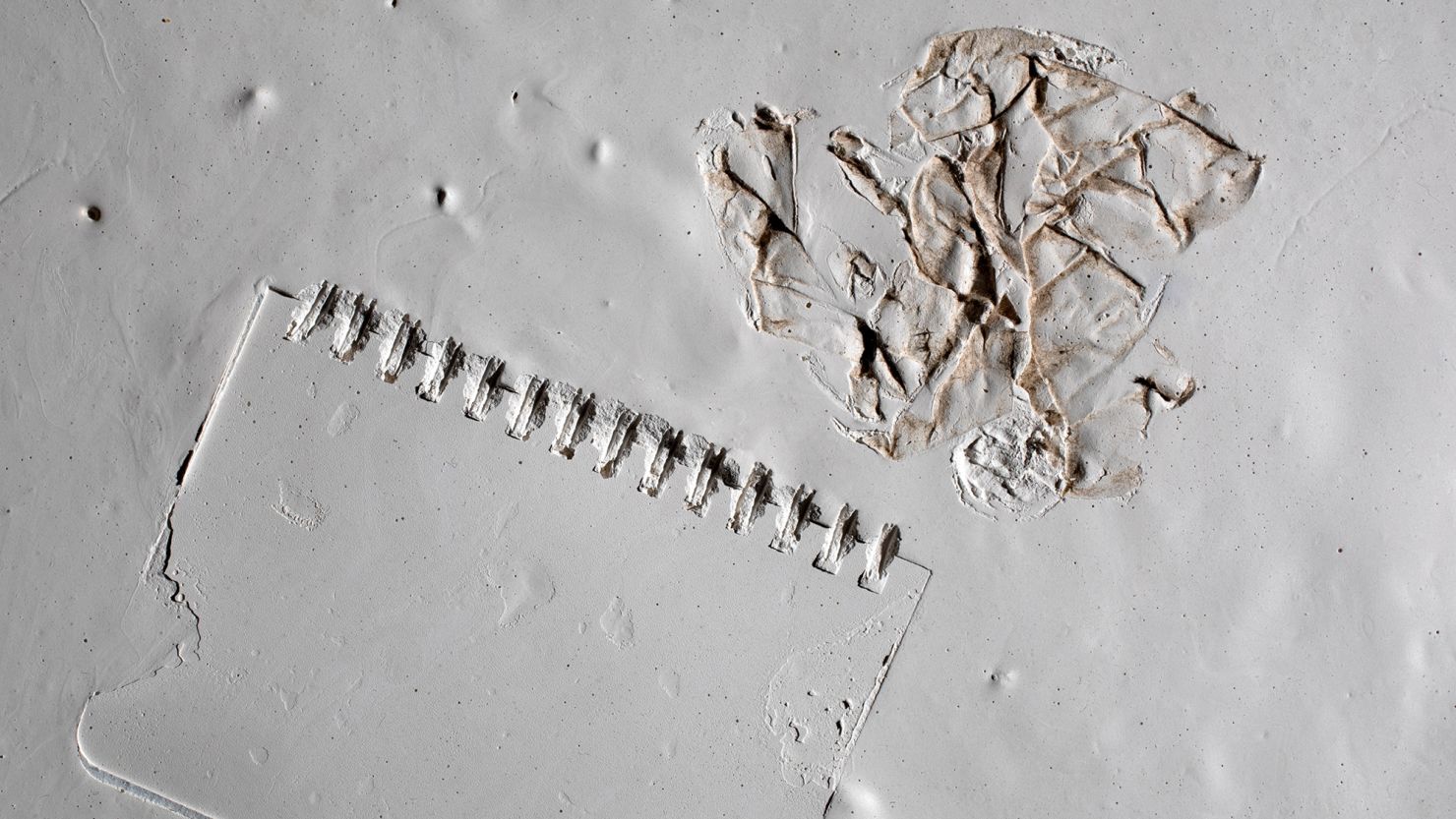 Coauthor Sarah Gabbott of the University of Leicester created a synthetic technofossil from a notebook, paper and plaster of paris. However, it's impossible to know exactly how discarded items will fossilize.