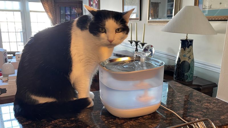 eufy Pet Water Fountain review CNN Underscored