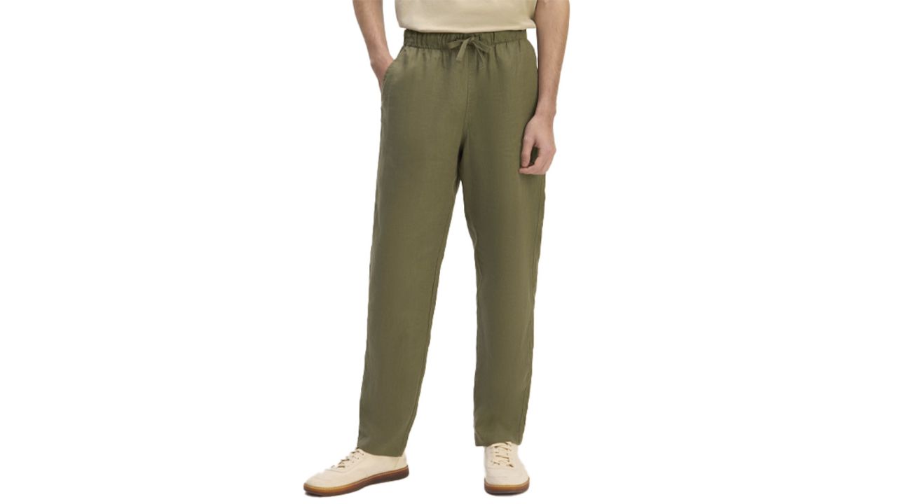 Everlane The Linen Easy Pant