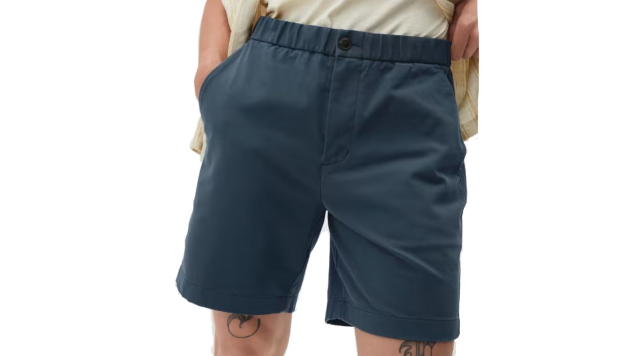 everlane pull on shorts new.jpg