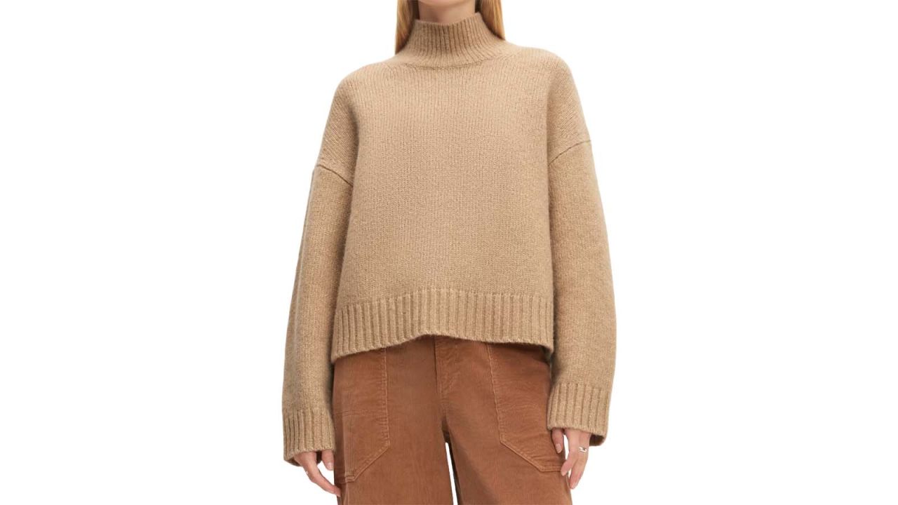 Everlane The Cloud Oversized Turtleneck.jpg