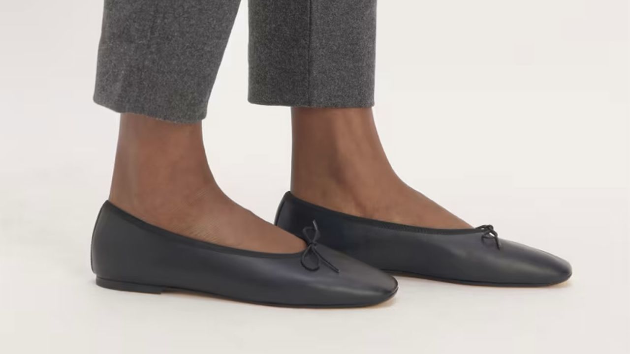 Everlane The Day Ballet Flat