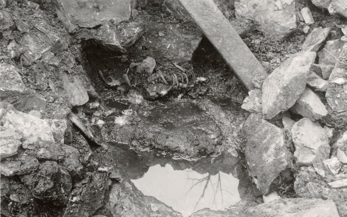 Researchers first excavated the remains of a skeletal torso — known as 