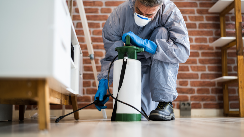 Exterminator sprays insecticide inside a home.