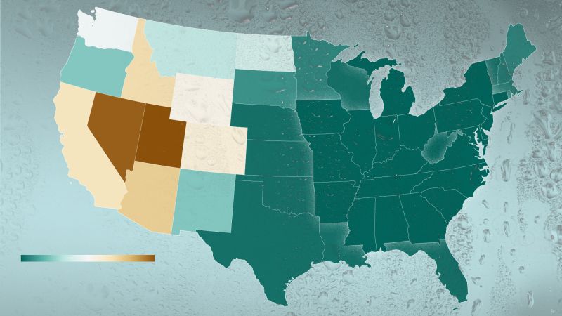 It’s not the heat, it’s the humidity: Here’s what’s behind this extremely sticky summer