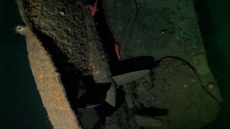 Unprecedented Discovery: Stunning Images of 108-Year-Old WWI Submarine Wreck Unearthed in Deep Sea