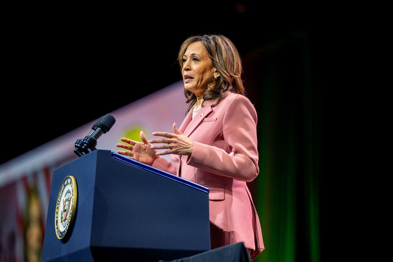 Vice President Kamala Harris speaks to Alpha Kappa Alpha Sorority members at the Kay Bailey Hutchison Convention Center on July 10, 2024 in Dallas, Texas.