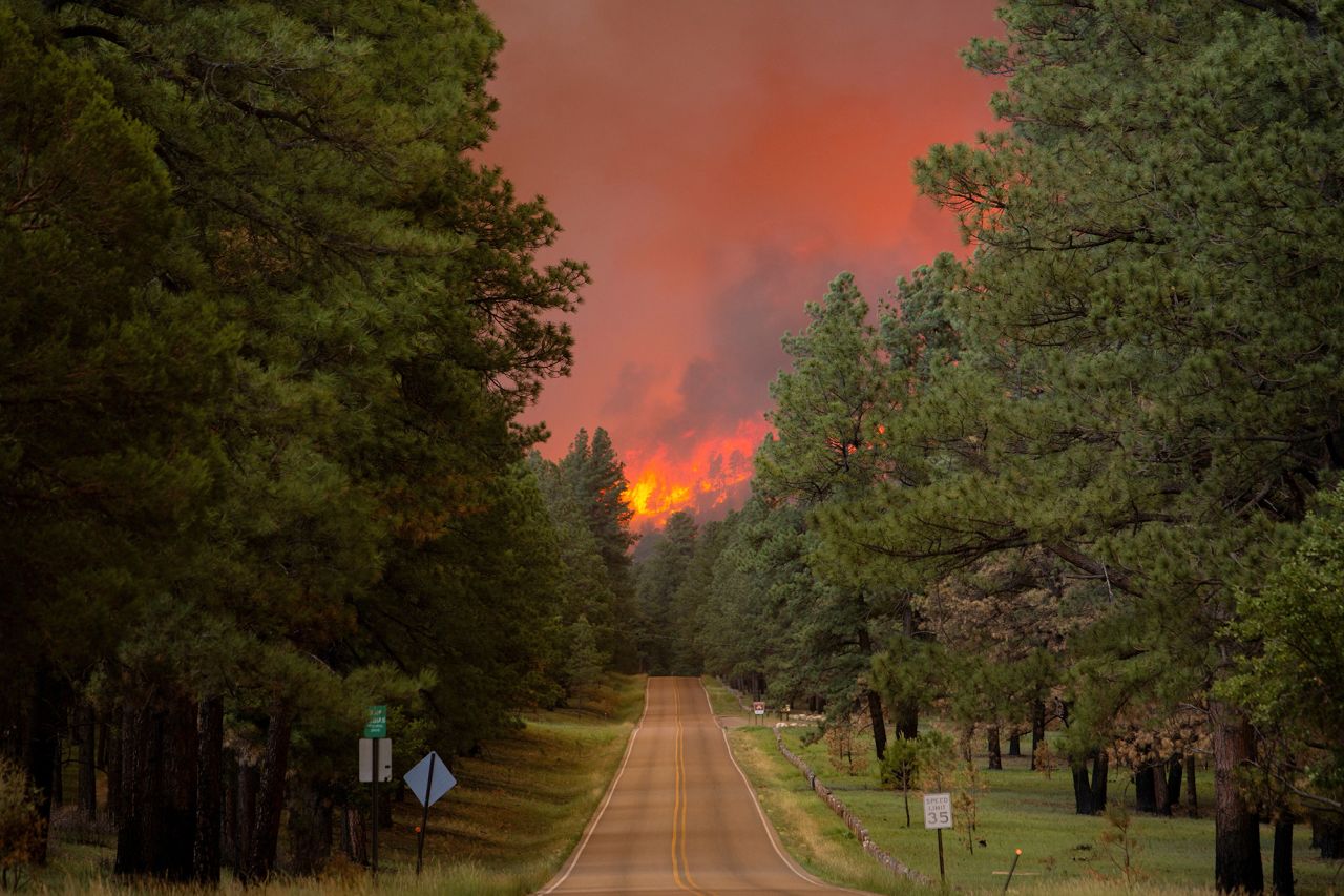 Smoke pluming from the?South?Fork?Fire rises above the tree line as the fire progresses from the Mescalero Apache Reservation to the Lincoln National Forest causing mandatory evacuations in Ruidoso, New Mexico, on June 17.