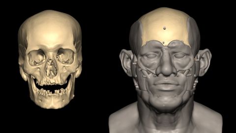 Facial reconstruction of the individual from Nuwayrat using 3D scan data of the skull and analysis of the bones.