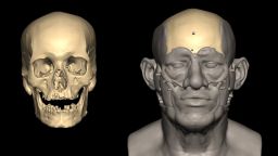 Facial reconstruction of the individual from Nuwayrat using 3D scan data of the skull and analysis of the bones.