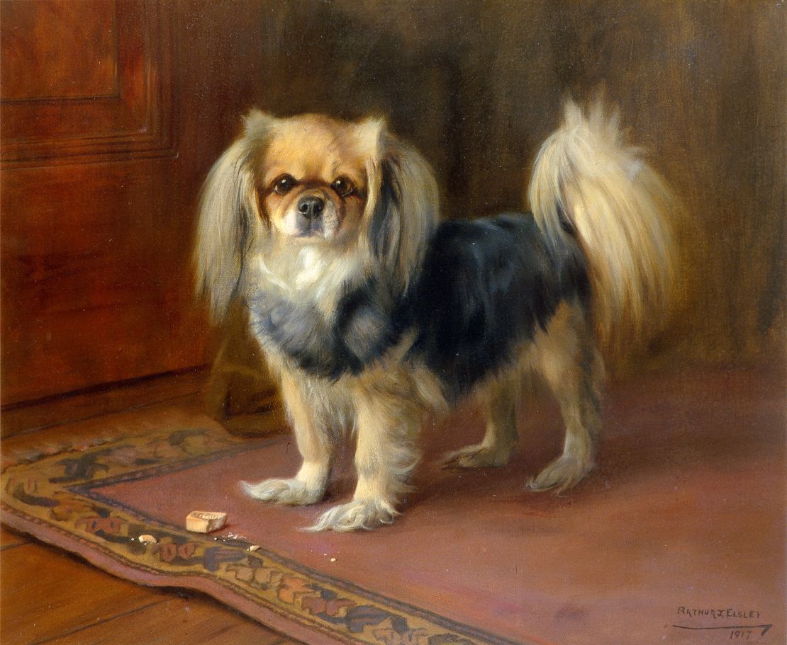 Tibetan spaniels, such as the ones depicted in this painting by Arthur John Elsley, were also being kept and bred in Britain in the 19th century.