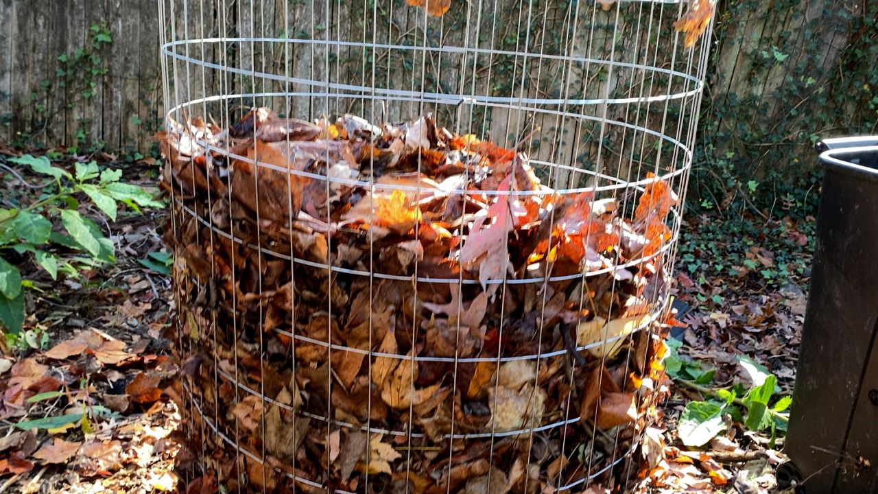 fall leaves uses composts.jpg