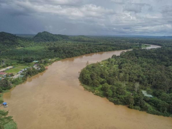 The elephants are only found on the island of Borneo, mostly in the Malaysian state of Sabah.