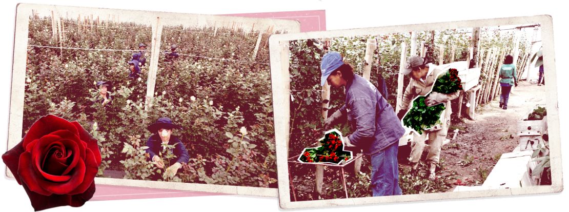 farm in colombia.jpg