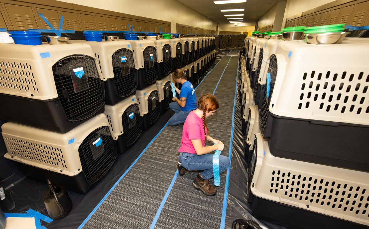 Marion County Animal Control Officers Sydney Watson, left, and Faith Ballard, right, place waste bags on the front of 55 kennels set up for dogs at Lake Weir High School in Ocala on Tuesday.