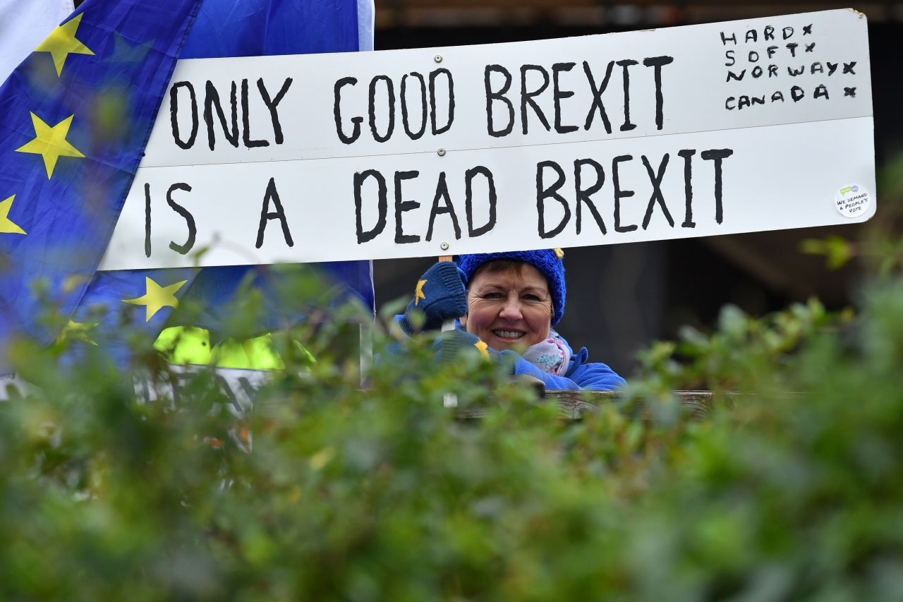 An anti-Brexit demonstrator braves the cold in London to call for an end to Brexit proceedings outside the Palaces of Westminster on Tuesday.