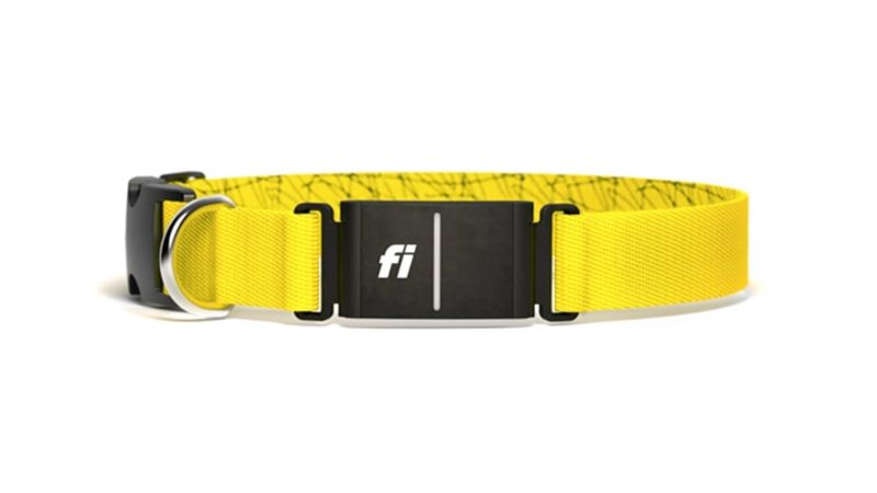 Fi sales collar coupon