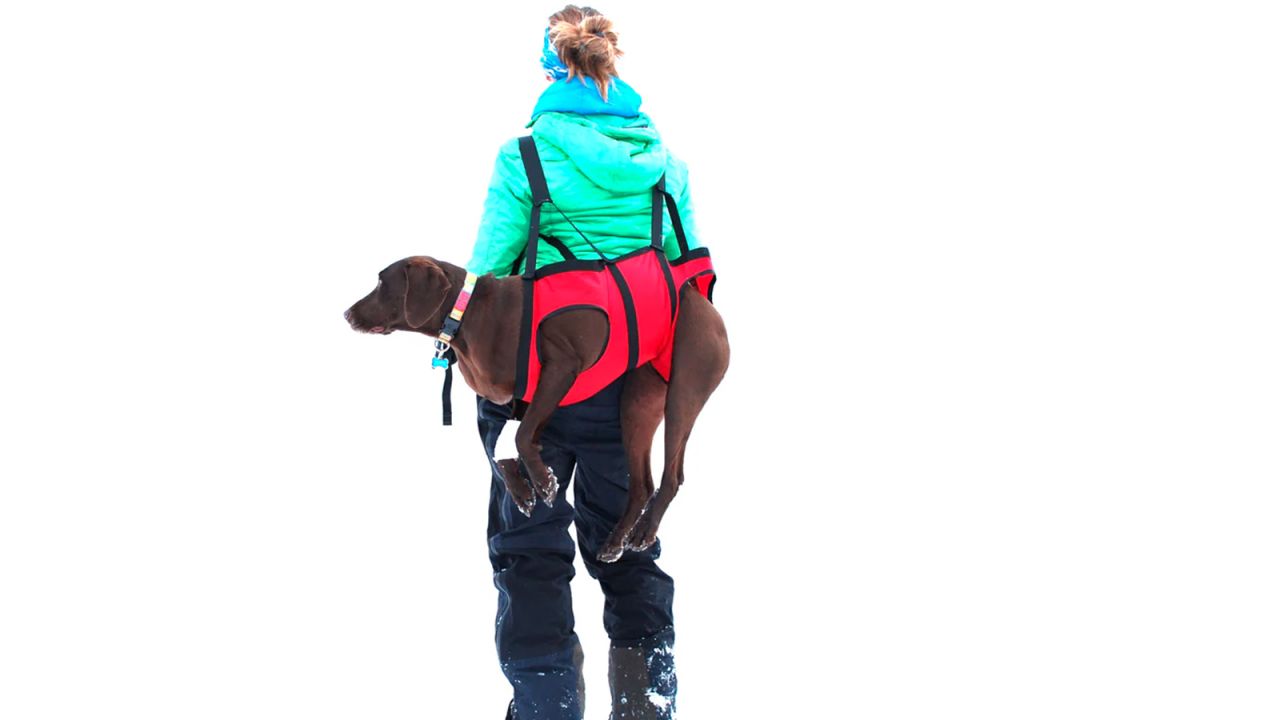 Fido Pro The Airlift K9 Rescue Sling cnnu.jpg