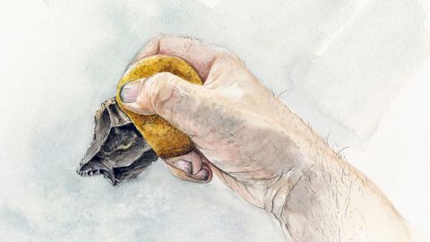 An artist's reconstruction of how the stone artifact with an adhesive handle could be held by a Neanderthal