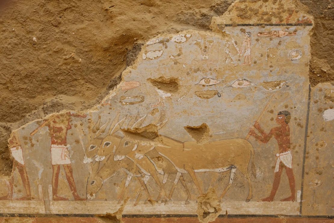 The daily life of the ancient Egyptians and their animals can be seen in the paintings.