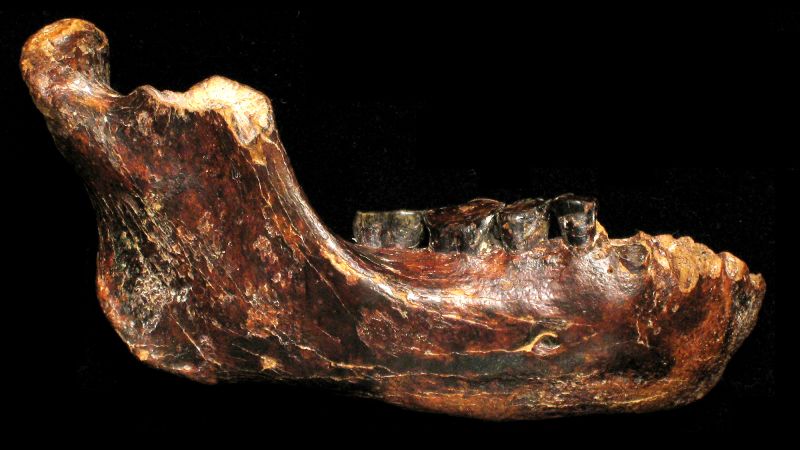 Jawbone изтече от морското дъно разширява обхвата на мистериозен вид древен човек 