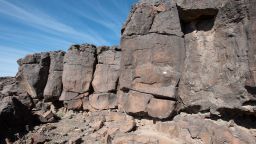 Rock art depicting cattle, sheep, goat, and ibex.