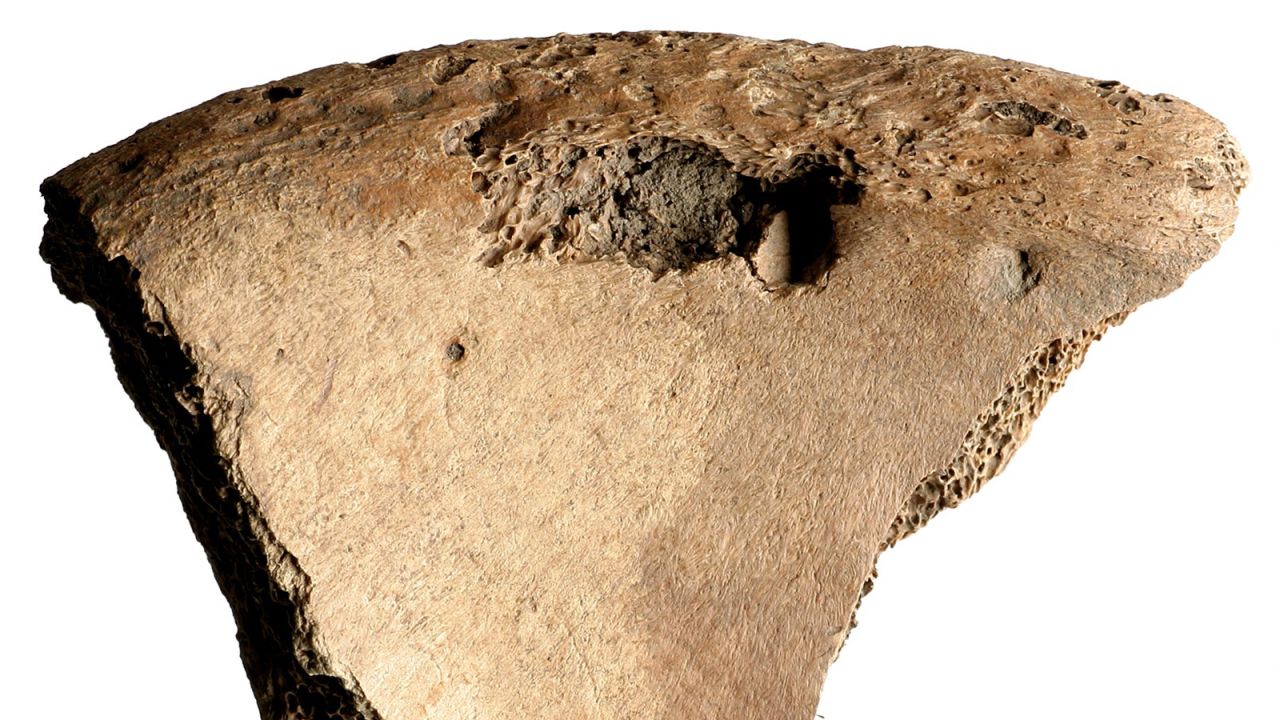 Fig3.jpg