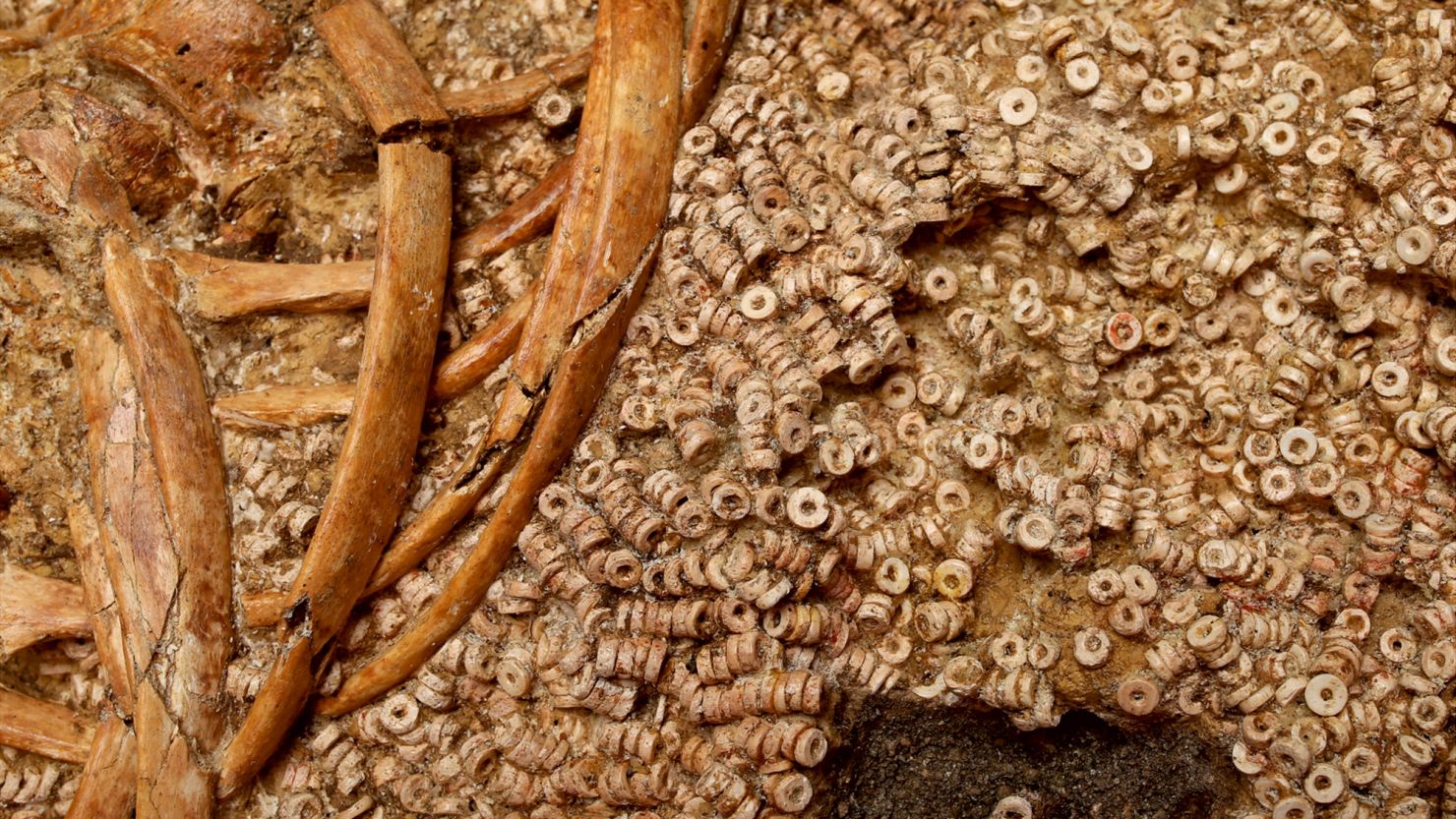Shell Beads Ivory