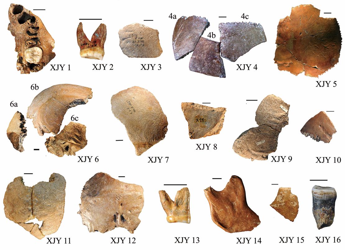 The 16 fossilized bone fragments found at Xujiayao, in northern China.