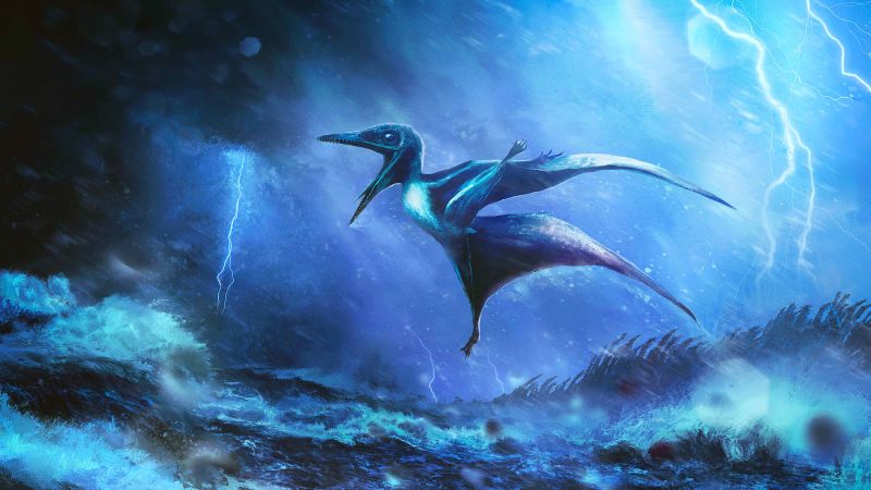 Fossils reveal how baby pterosaurs died in the Jurassic Period, scientists say
