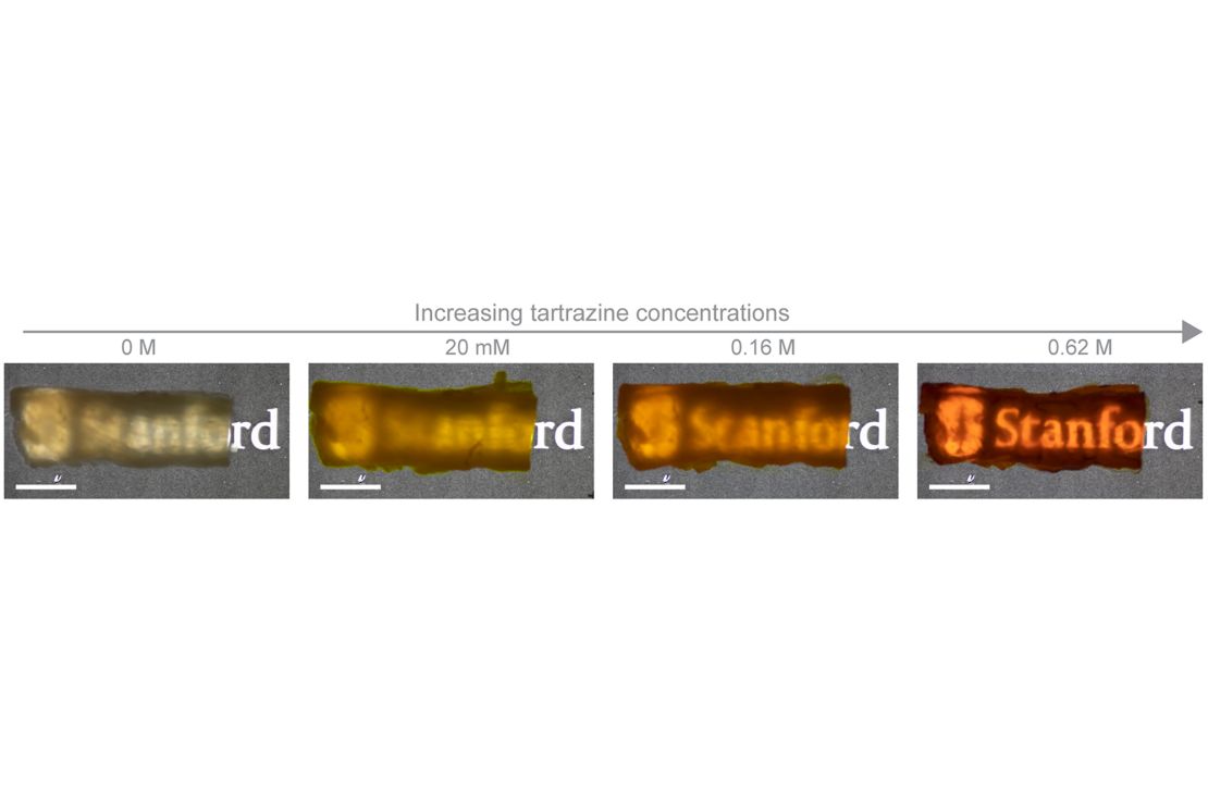 Photos illustrate the difference in the transparency of chicken breast tissue after soaking in tartrazine solutions with an increasing concentration.