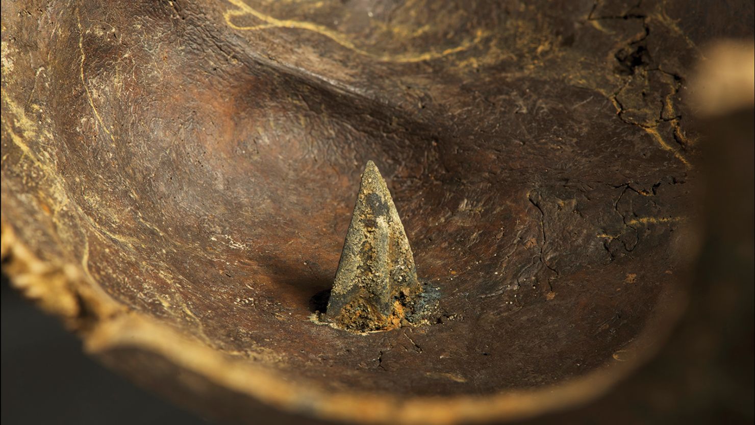 A bronze arrowhead perforates an ancient skull recovered from an archaeological site in Germany's Tollense Valley.