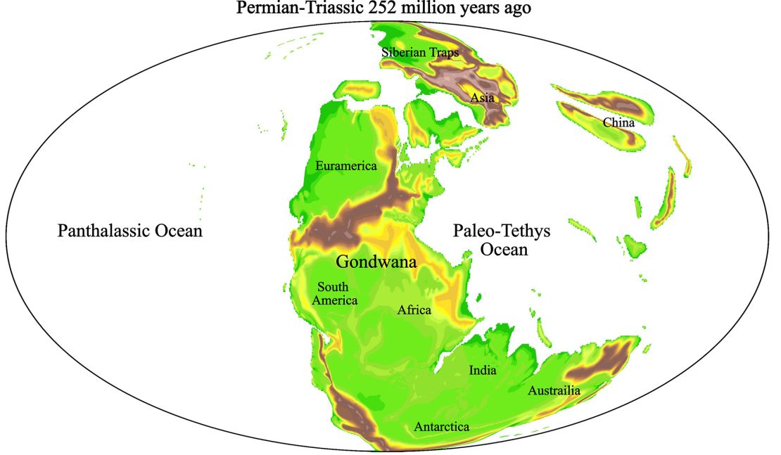 General News Earth looked very different 252 million years ago.