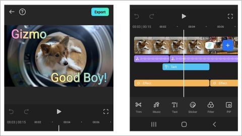 Filmora Video Editor & Maker let us easily trim our three test videos to make a delightful short movie featuring Gizmo, adding effects like colorful text, stickers, filters and more.