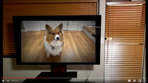 A classic example of PiP is our test project, in which the base video is a photograph of a television set into which we inserted a video of Gizmo the dog.