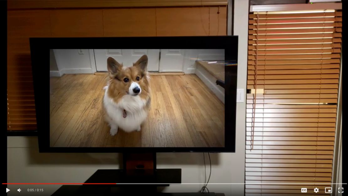 FAST DOG ENTERTAINMENT VIDEO - Dog TV - Video for Dogs in 4K 