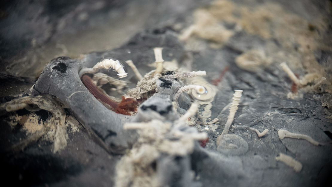 Tube worms thrive on the underside of the seafloor, a small portion of which was flipped over by an underwater robot.