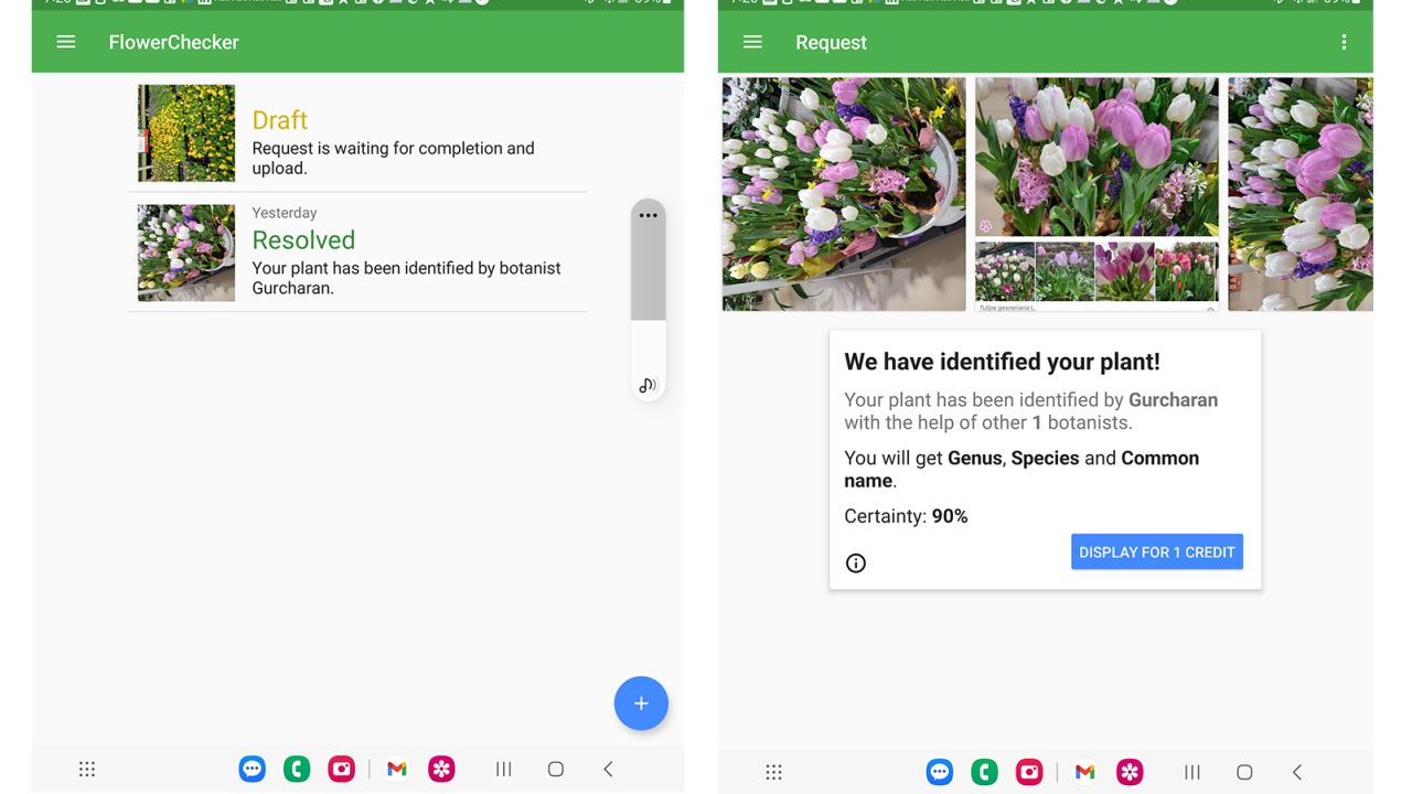 FlowerChecker alerts you when your plant identification request is fulfilled and tells you which of its botanists answered your query. You will receive the Genus, Species and the Common name of the plant along with the level of certainty of the identification.