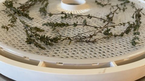 A food dehydrator is perfect for preserving herbs from your garden.