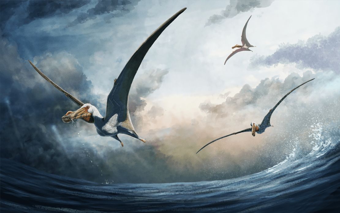 An artist's impression of Haliskia peterseni, a new species of pterosaur.