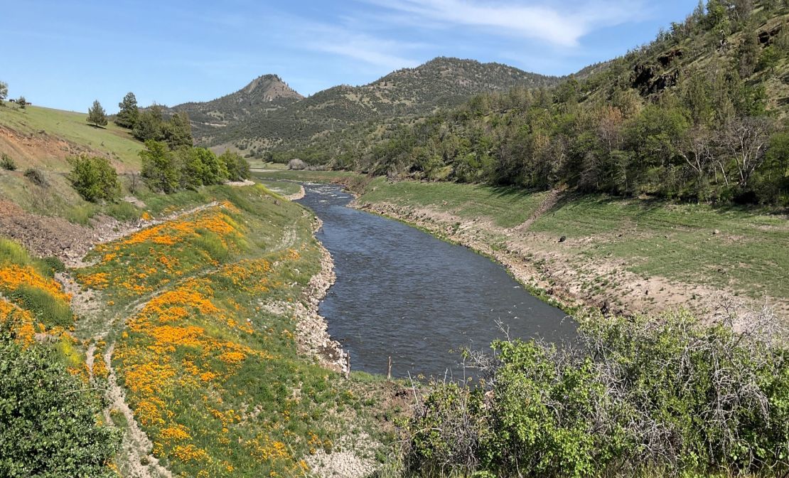 The site of a former reservoir is beginning to show signs of recovery.