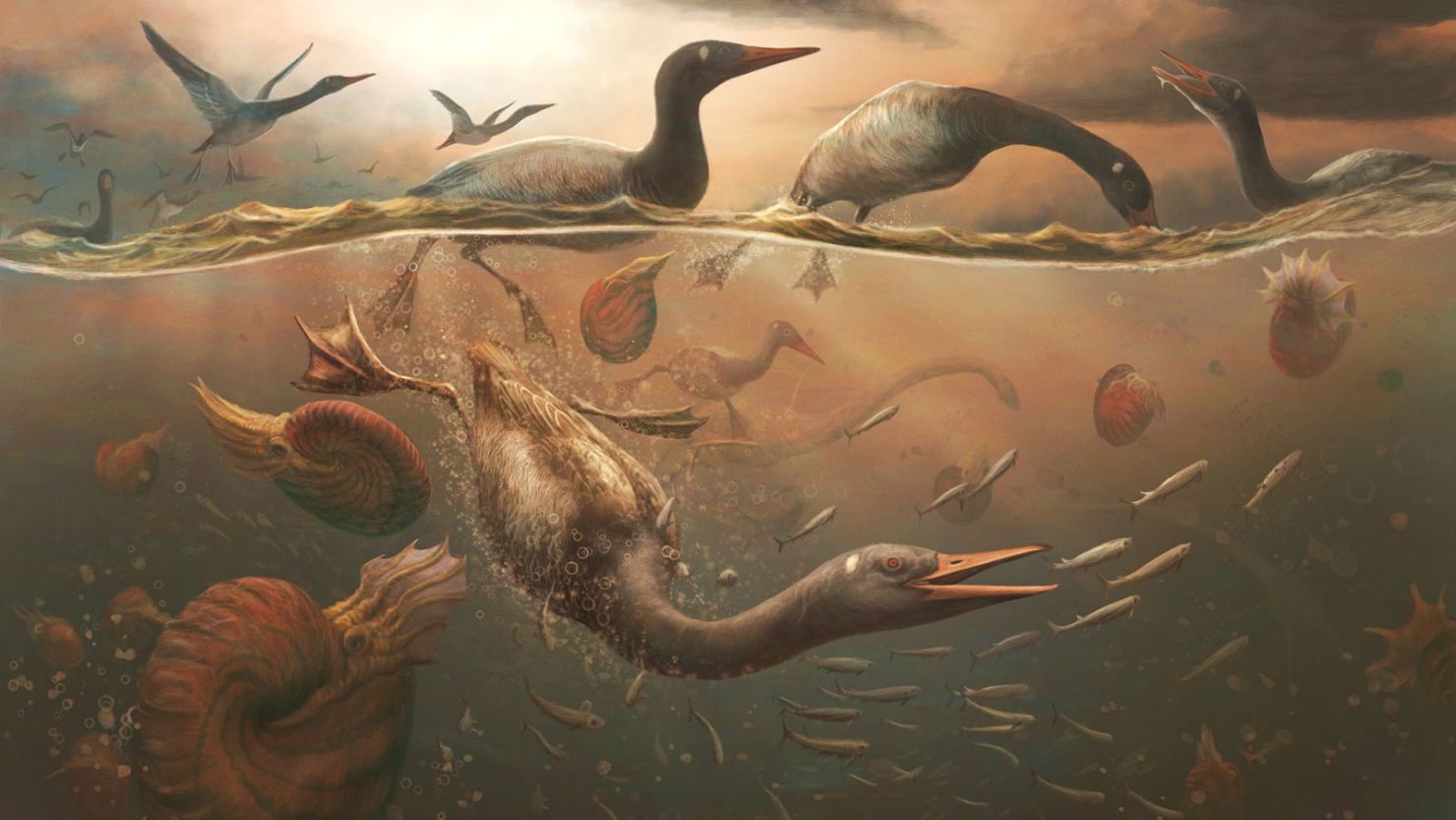 Reconstrucción artística de cómo pudo haber sido Vegavis iaai.