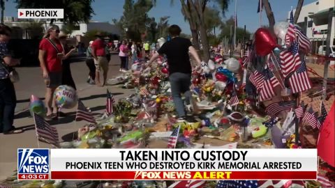 Fox News digvid.jpg