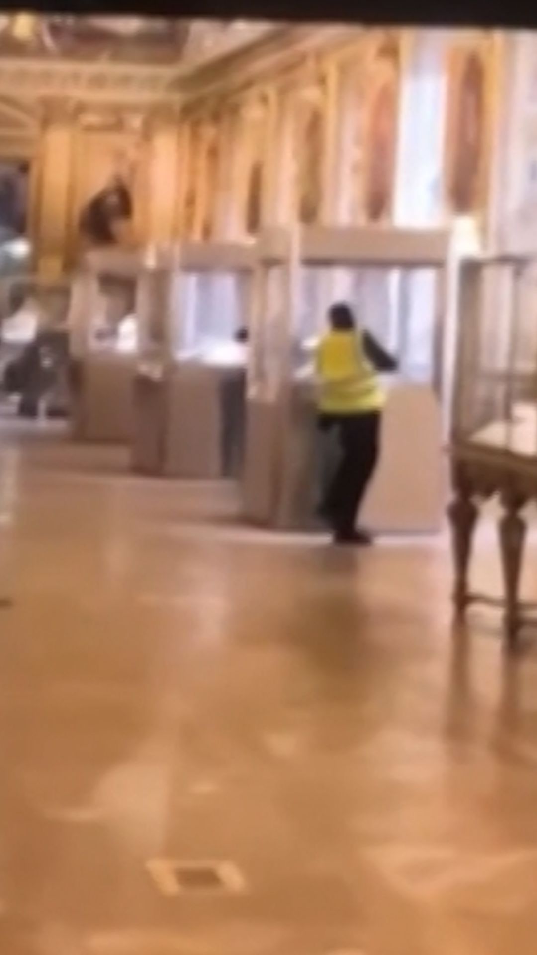 frame grab bfmtv thieves vrtc.jpg